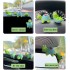4Pcs Mini Turtles Figurine Cute Tortoise Rear View Mirror Decorations Car Dashboard Decor Self-Adhesive Desktop Plant Pot Ornaments