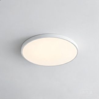 Smart Ceiling Light - Living Room